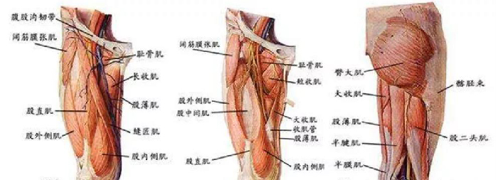 微信图片_20191202154206.jpg