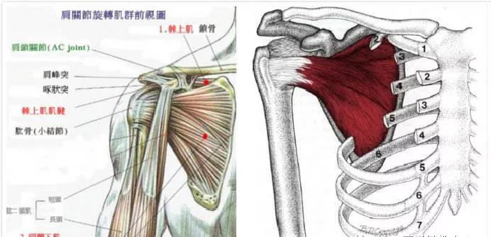 微信图片_20191202163235.jpg