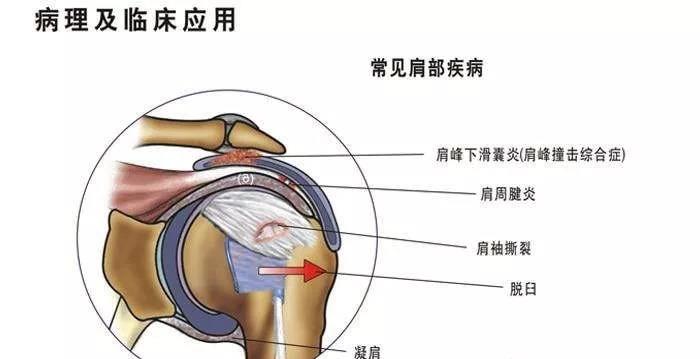 微信图片_20191202163241.jpg