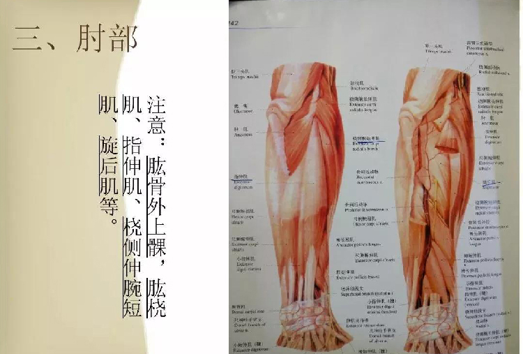 微信图片_20191202165940.jpg