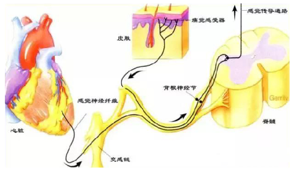 微信图片_20191202172020.jpg