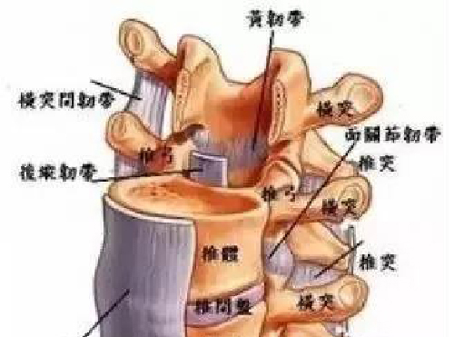 微信图片_20191202175158.jpg