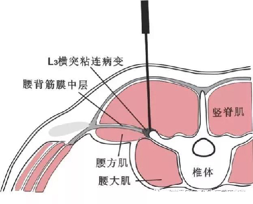 微信图片_20191202175206.jpg