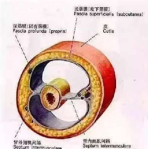 微信图片_20191203092434.jpg