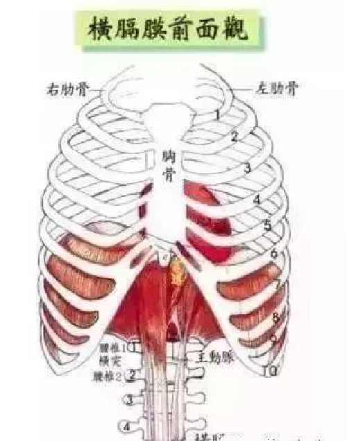 微信图片_20191203092436.jpg