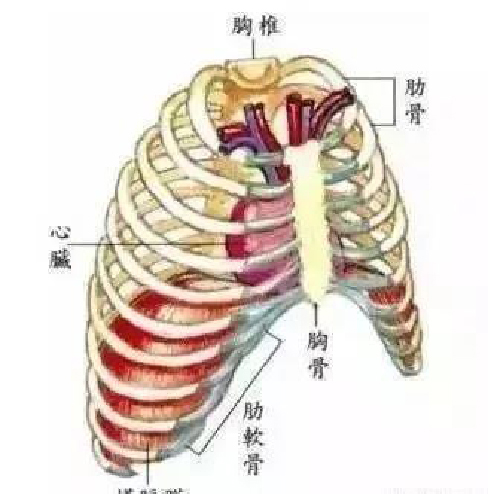 微信图片_20191203092438.jpg