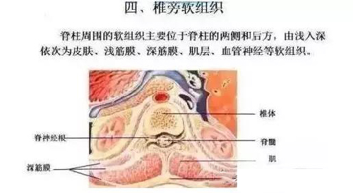 微信图片_20191203092441.jpg