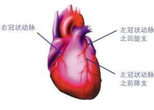 微信图片_20191203101534.jpg