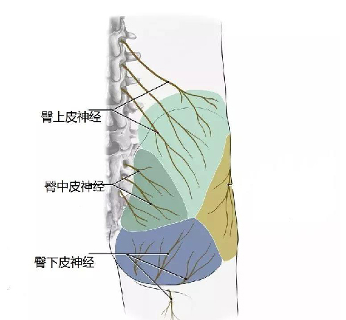 微信图片_20191203104924.jpg