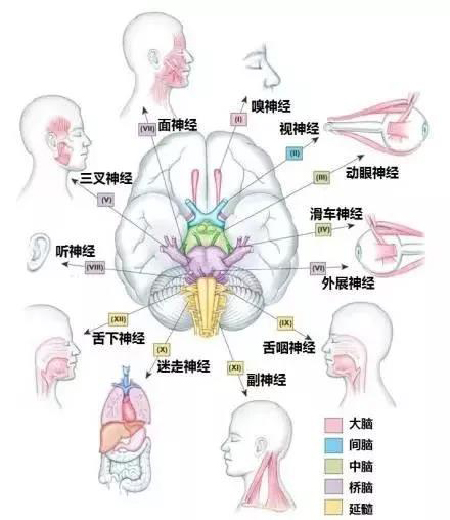 微信图片_20191203110633.jpg