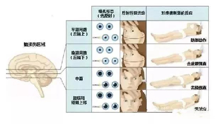 微信图片_20191203110641.jpg