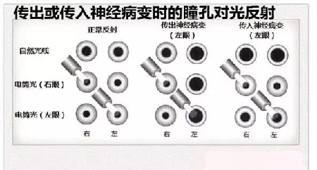 微信图片_20191203110649.jpg