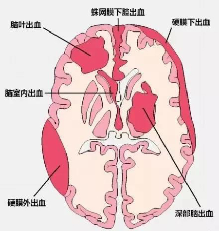 微信图片_20191203110709.jpg