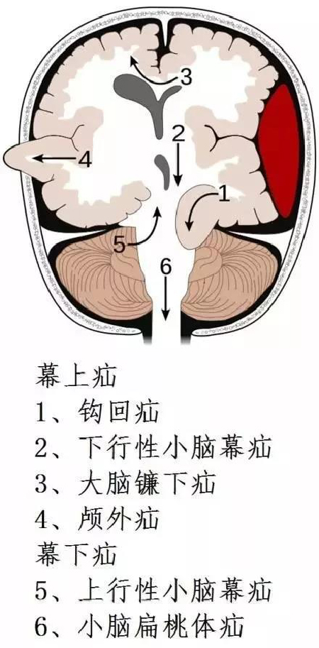 微信图片_20191203110711.jpg