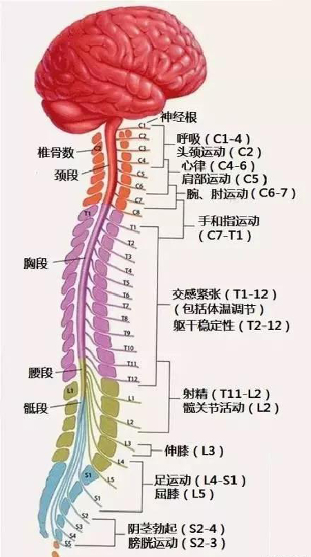 微信图片_20191203110716.jpg