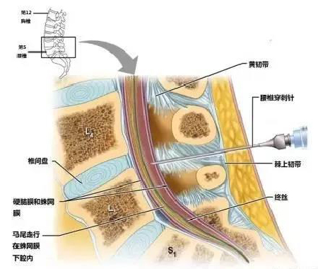 微信图片_20191203110718.jpg