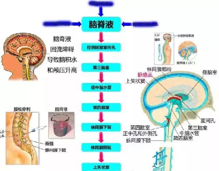 微信图片_20191203110743.jpg