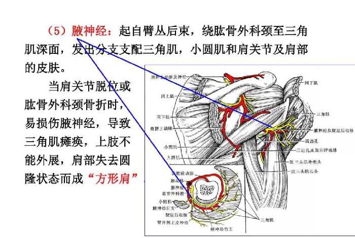 微信图片_20191209162431.jpg