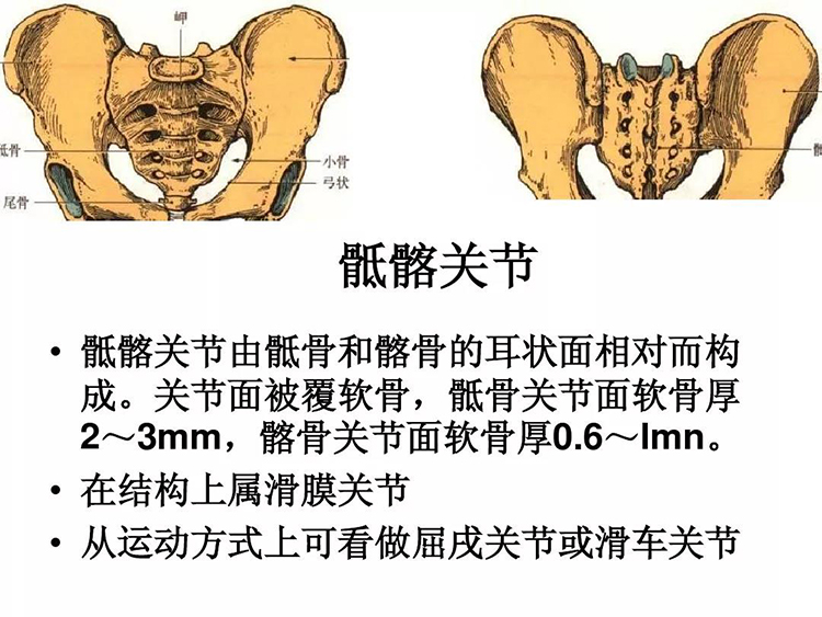 微信图片_20191218144400.jpg