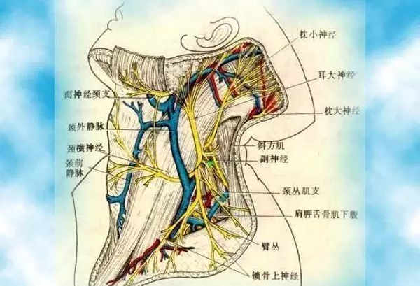 微信图片_20191218145102.jpg