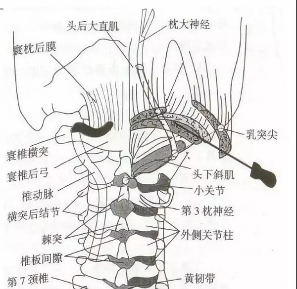 微信图片_20191218145104.jpg