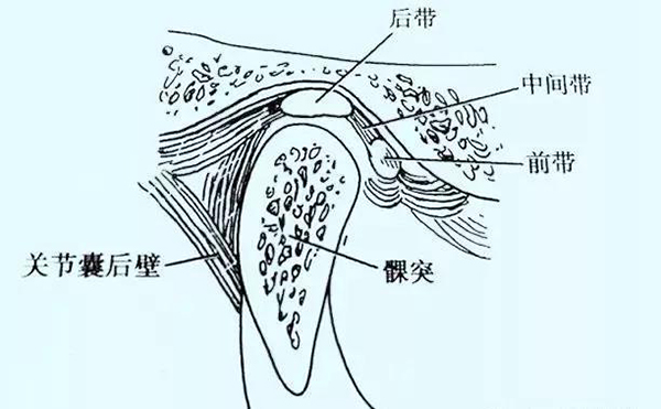 微信图片_20191218145550.jpg