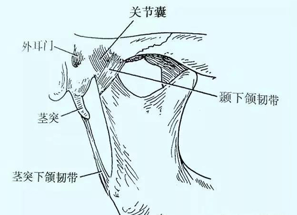 微信图片_20191218145556.jpg