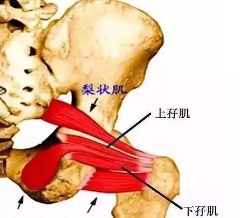 微信图片_20191218150322.jpg