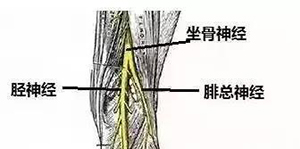 微信图片_20191218150413.jpg