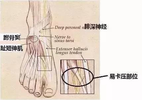 微信图片_20191218150436.jpg