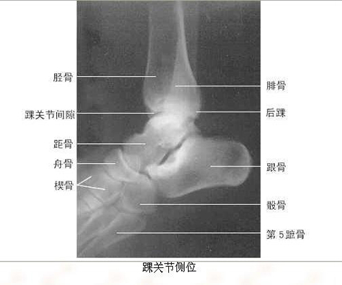 微信图片_20191220141348.jpg