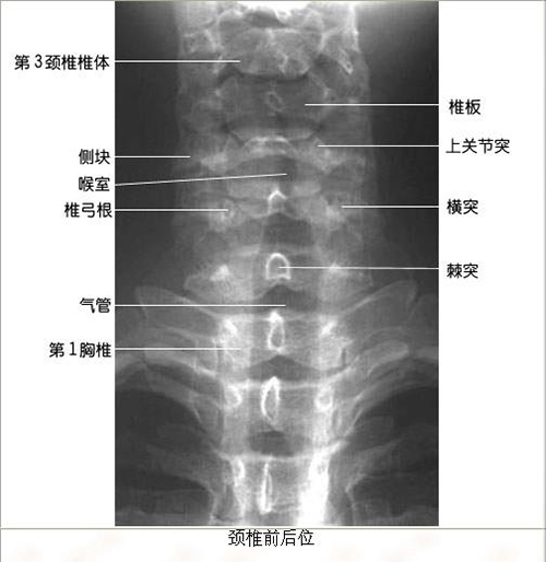 微信图片_20191220141352.jpg