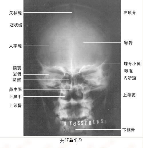 微信图片_20191220141431.jpg