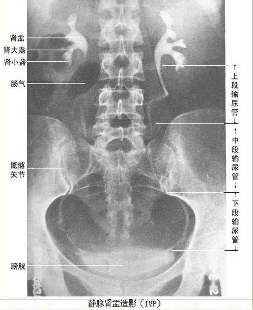 微信图片_20191220141500.jpg