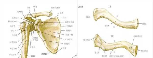 微信图片_20191220144625.jpg