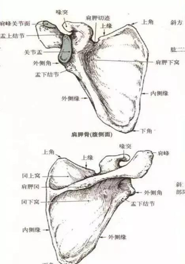 微信图片_20191220144639.jpg