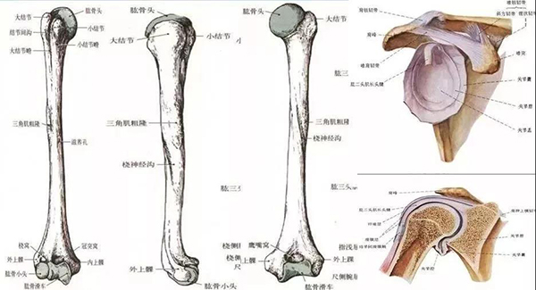 微信图片_20191220144646.jpg