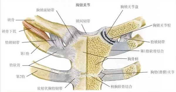 微信图片_20191220144651.jpg