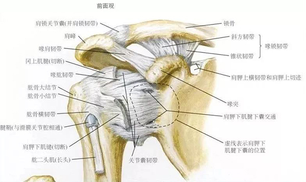 微信图片_20191220144700.jpg