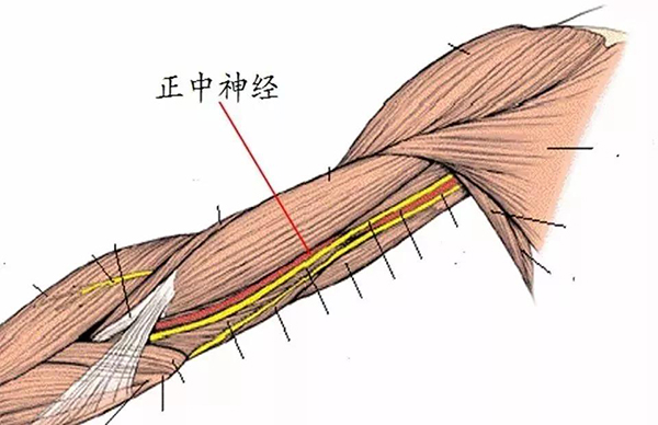 微信图片_20191220144804.jpg