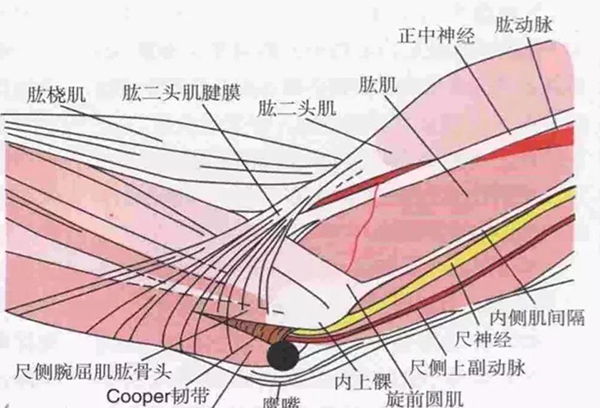 微信图片_20191220144807.jpg