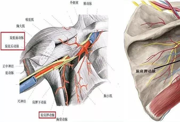 微信图片_20191220144811.jpg