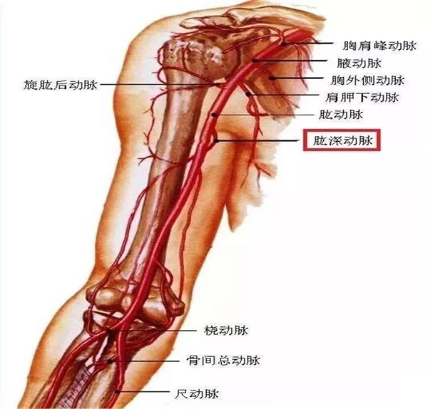 微信图片_20191220144814.jpg