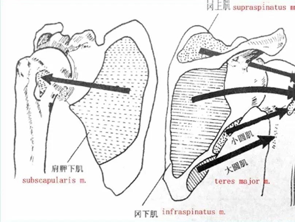 微信图片_20191220144827.jpg