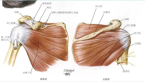 微信图片_20191220144829.jpg