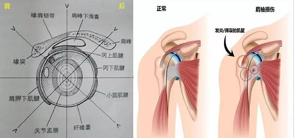 微信图片_20191220144833.jpg