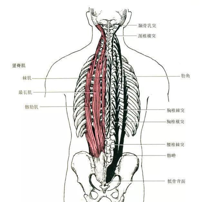 微信图片_20191223161618.jpg