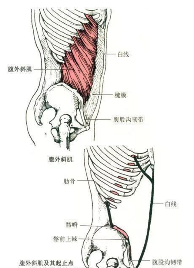 微信图片_20191223161628.jpg