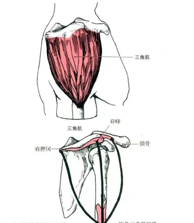 微信图片_20191223161633.jpg