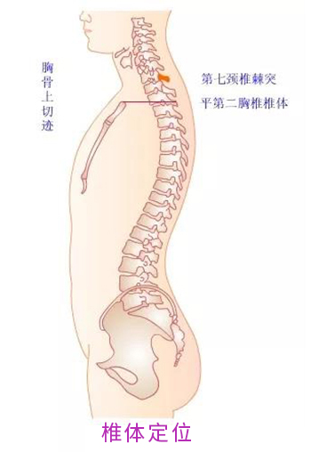 微信图片_20191224083922.jpg